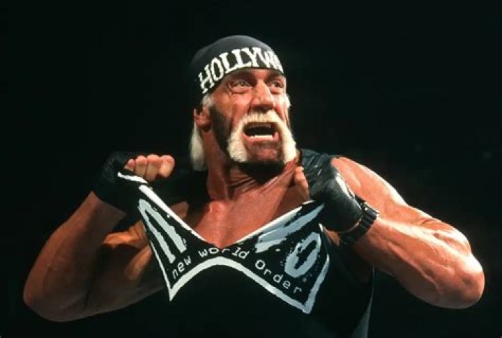 Hulk Hogan – Hollywood Life
