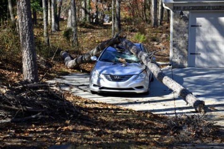 Jenna Bush Hager Reveals She ‘Spun Into a Tree’ & ‘Totaled’ Her Car in Terrifying Accident