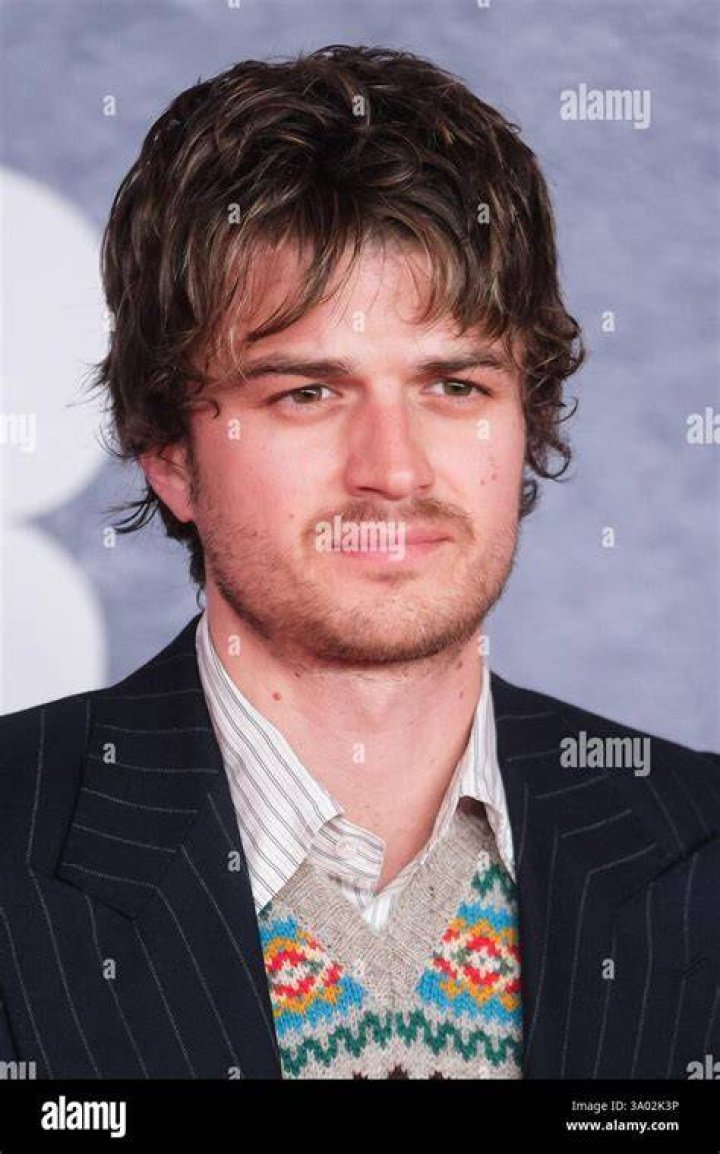 Joe Keery Celebrity Profile – Hollywood Life