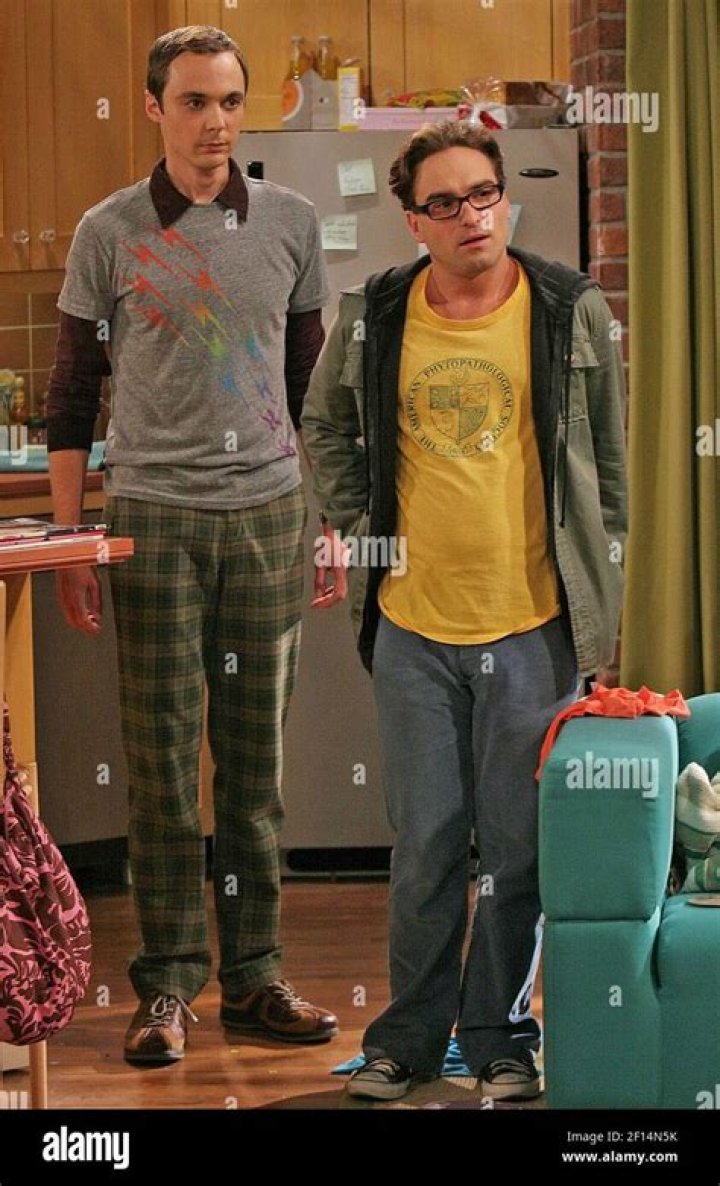 Johnny Galecki ‘Excited’ ‘The Big Bang Theory’ Is Ending – Hollywood Life