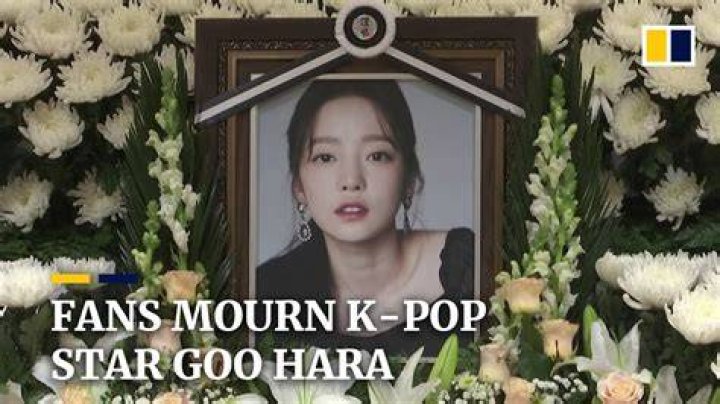 K-pop Star Goo Hara Found Dead At 28 – Hollywood Life