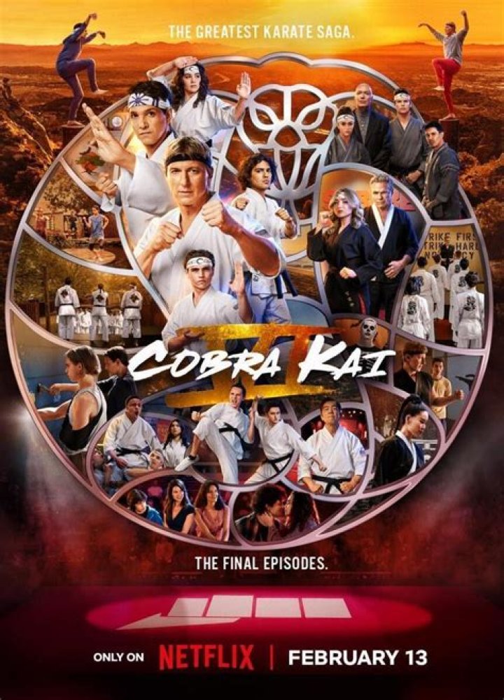 Karate Kid Cast Then & Now: See Original Stars In Hit Series, Cobra Kai