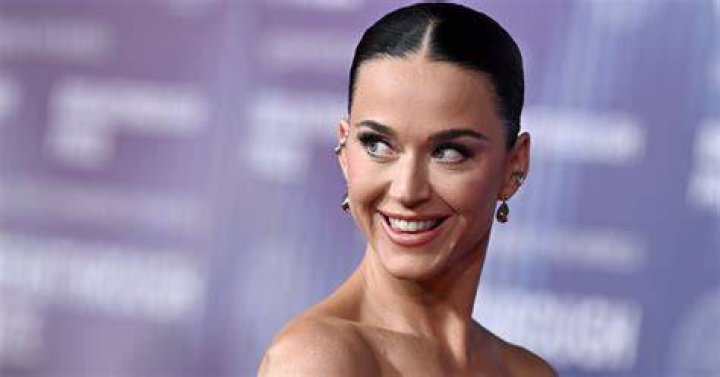 Katy Perry Makes Pregnancy Joke After Confirming News – Hollywood Life