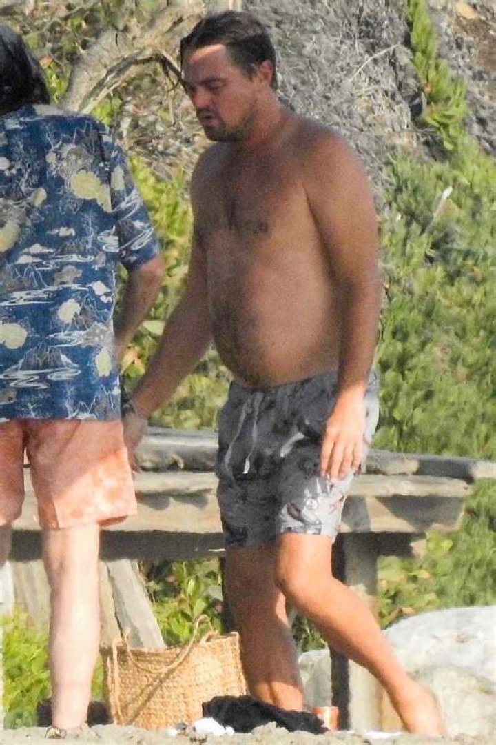 Leonardo DiCaprio & Emile Hirsch Shirtless In Malibu Beach Photos – Hollywood Life