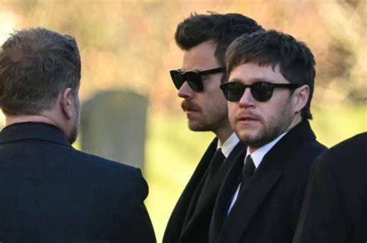 Liam Payne Crying & Screaming At Harry Styles The Night They Cancelled Concert – Hollywood Life