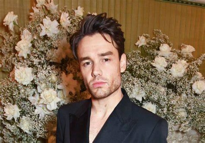Liam Payne Disses Harry Styles’ New Music: Watch – Hollywood Life