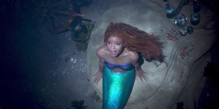 ‘Little Mermaid’ Casting Suggestions — See Pics