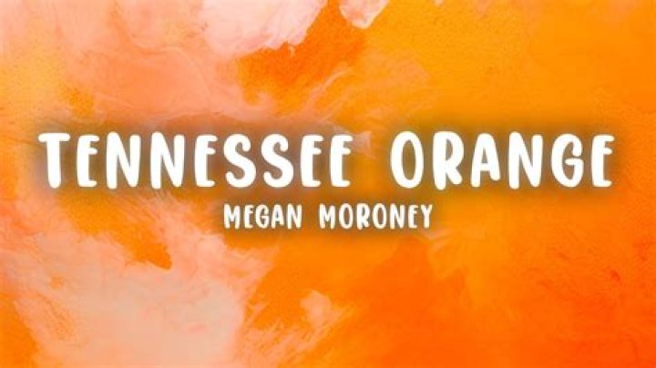 Megan Moroney Dishes on ‘Tennessee Orange’ & New Album ‘Lucky’ (Exclusive) – Hollywood Life