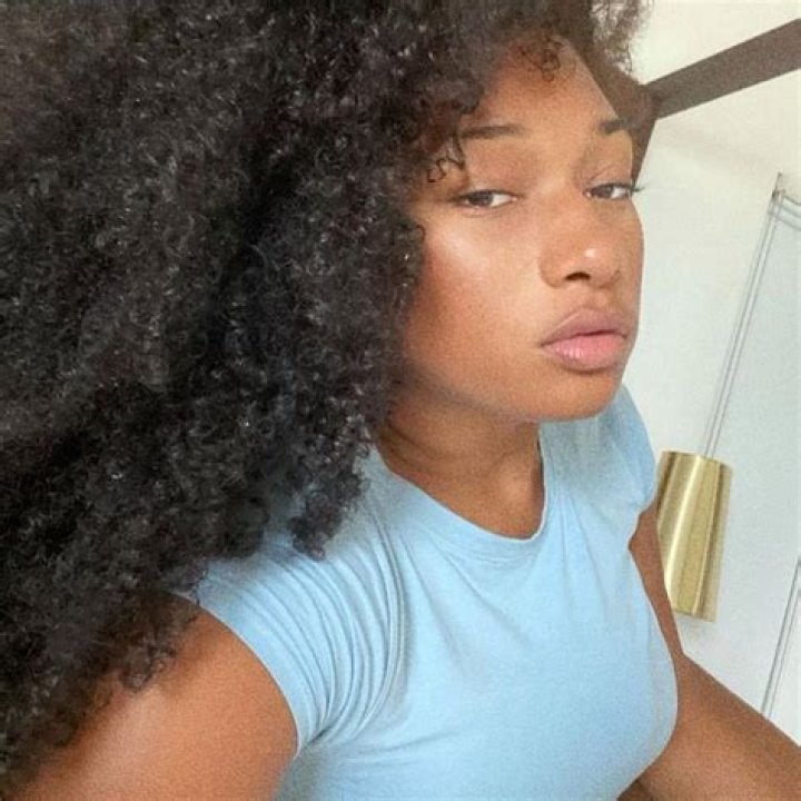 Megan Thee Stallion Shows Off ‘Natural Hair’ In Washing Video – Hollywood Life