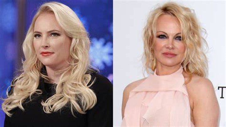 Meghan McCain Calls Julian Assange A ‘Cyberterrorist’ During Fight With Pam Anderson On ‘The View’