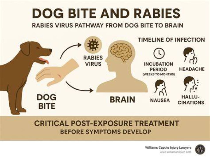 Miracle Girl, 8, Beats Rabies WITHOUT a Vaccine!