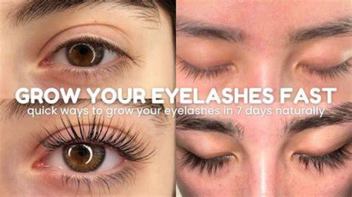 National Lash Day: 20 Products That Will Lift, Curl & Volumize Your Eyelashes In No Time