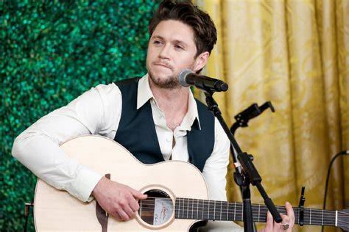 Niall Horan News, Music, Photos And Videos – Hollywood Life