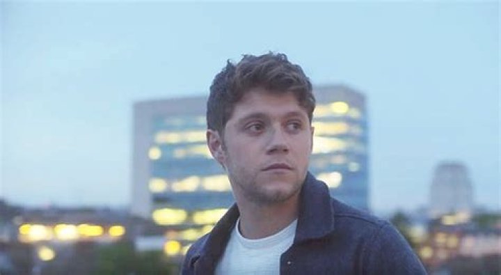 Niall Horan’s ‘Too Much To Ask’ Video — PICS