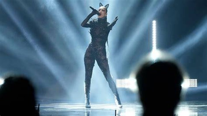 Nicole Scherzinger Sizzles In Catwoman Costume On ‘The Masked Singer’ – Hollywood Life