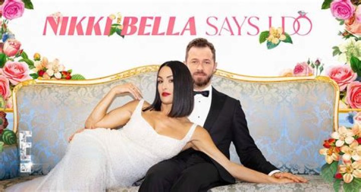 Nikki Bella Admits She ‘Felt Like Organs Were About To Drop Out’ When She 1st Got Intimate With Artem After Baby