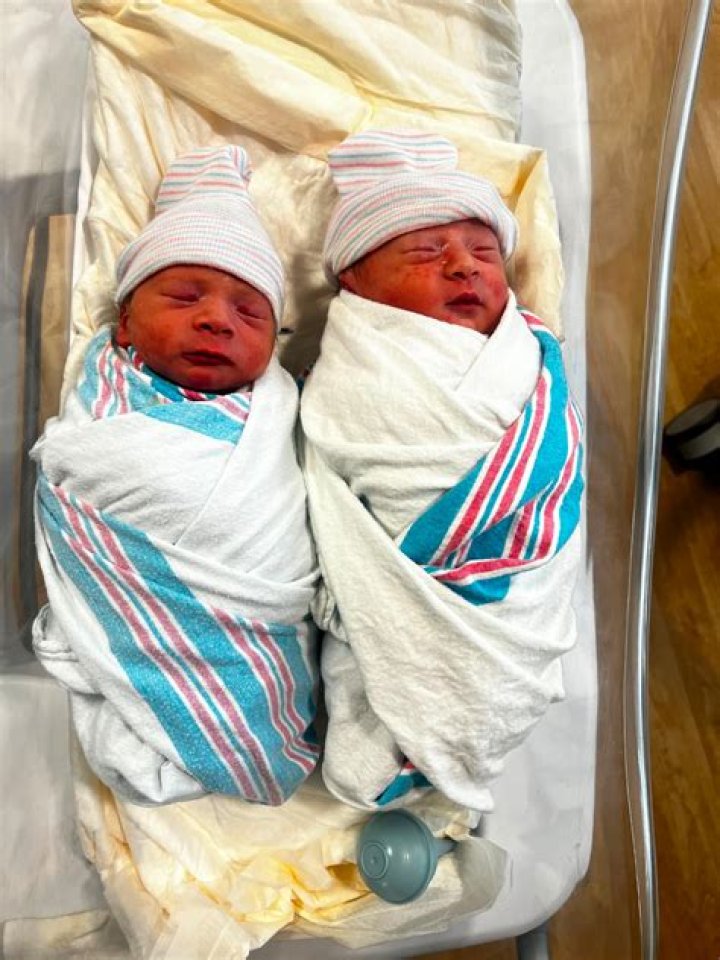 Nikki & Brie Bella Predict They’re ‘Having Twins’ & ‘They’ll Be Born On The Same Day’ — Watch