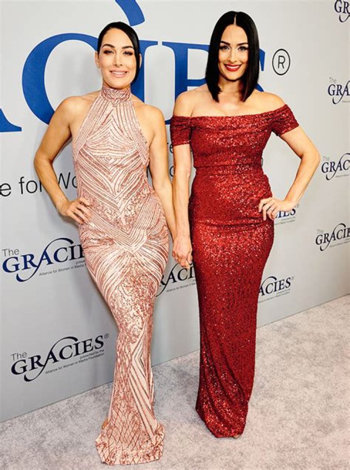 Nikki & Brie Bella Quit The WWE & Change Names To The Garcia Twins – Hollywood Life