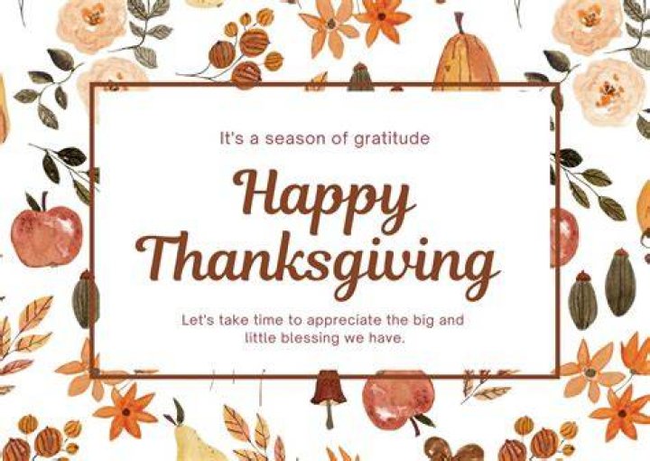 Our Top-Rated Thanksgiving Cards of 2024 – Reviews by Hollywood Life – Hollywood Life