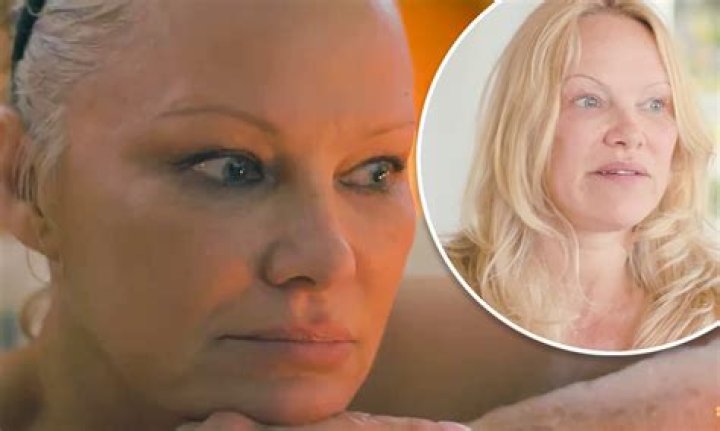 Pamela Anderson Goes Makeup-Free & Wears Nearly Sheer White Shirt – Hollywood Life