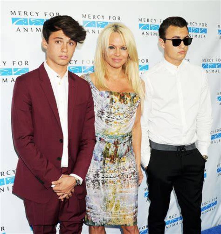 Pamela Anderson’s Sons Supportive Of Her Divorce From Dan Hayhurst – Hollywood Life