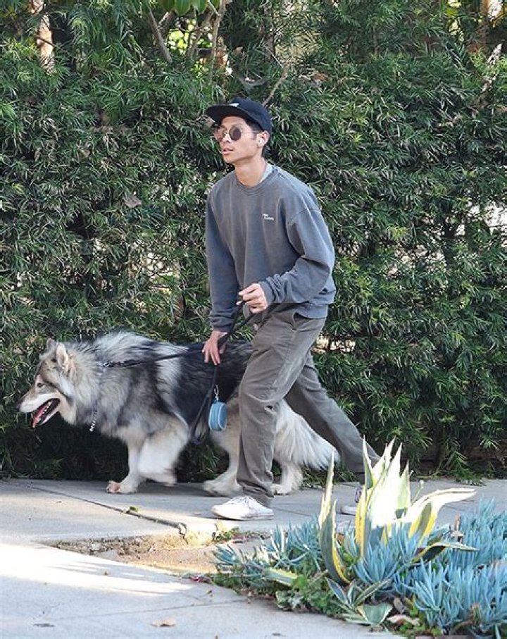 Pax Jolie-Pitt Walks His Dog Amid Dad Brad Pitt’s New Romance: Photos – Hollywood Life