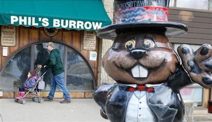 Photos Of Punxsutawney Phil – Hollywood Life