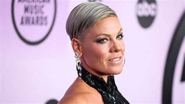 Pink Slams Online Troll for Calling Her ‘Old’ in New Comment – Hollywood Life