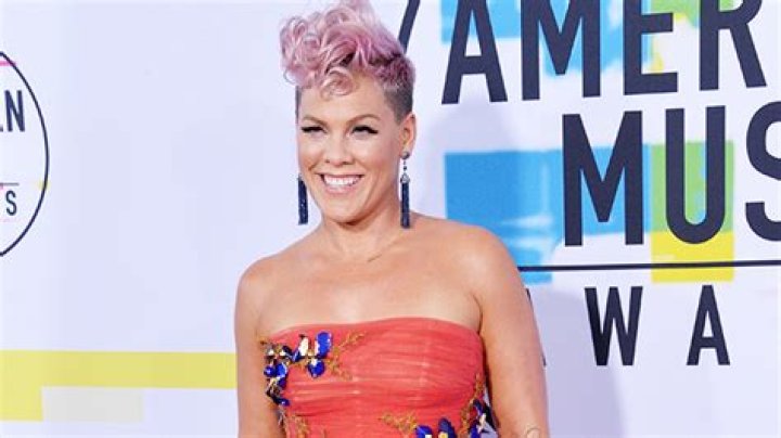 Pink Sunbathes In A Black Bikini On Vacation In Mexico: Photo – Hollywood Life