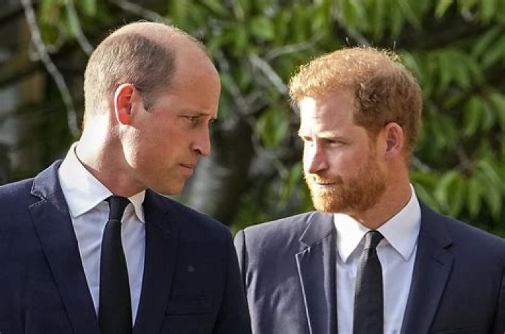 Prince Harry and Prince Andrew Quietly Barred From Counsellor of State Roles Amid King Charles’ Medical Procedure