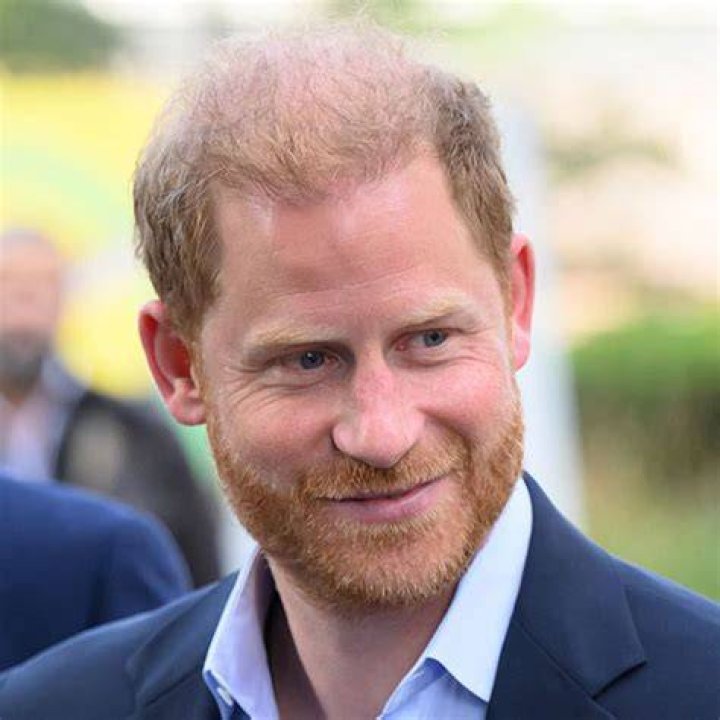 Prince Harry Celebrity Profile – Hollywood Life