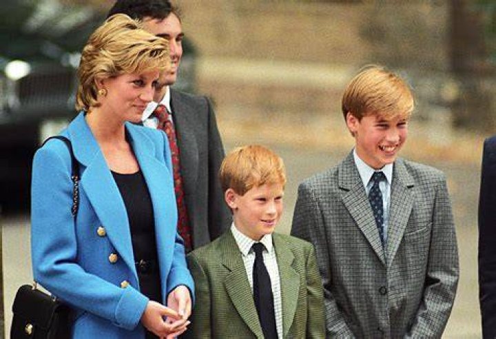 Princess Diana & Sons William and Harry Pics