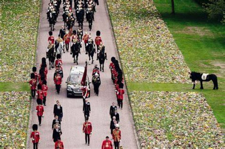 Queen Elizabeth’s Royal Corgis Watch Monarch’s Casket Travel To Windsor: Photo