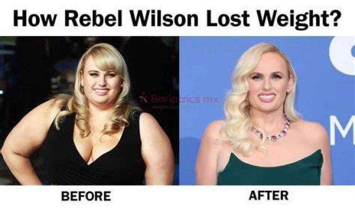 Rebel Wilson Gained Weight After Becoming A Mom – Hollywood Life