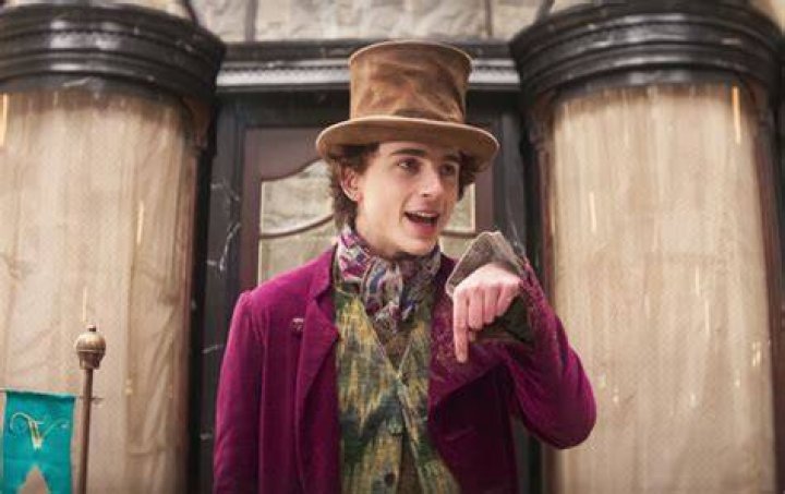 Release Date & More About The Timothee Chalamet Film – Hollywood Life
