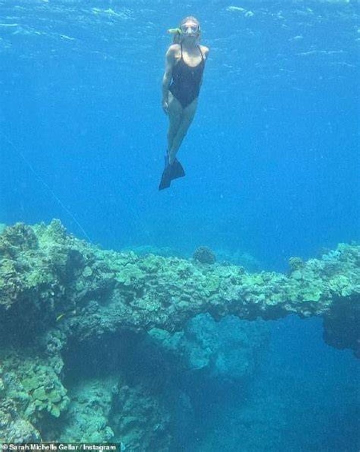 Sarah Michelle Gellar, 44, Slays In Black One-Piece Swimsuit — Photo