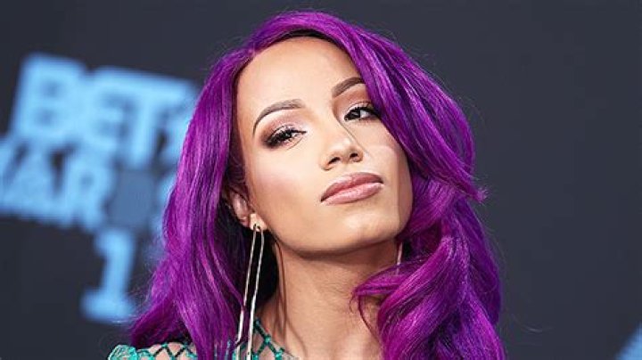 Sasha Banks Celebrity Profile – Hollywood Life