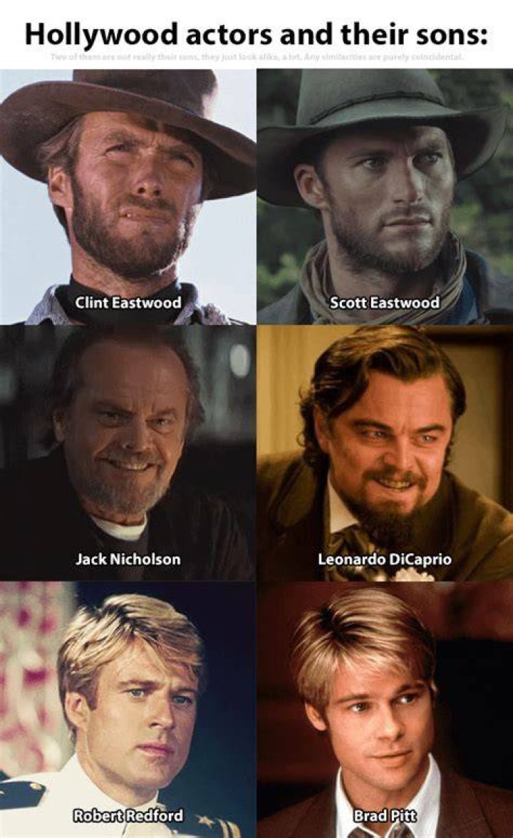 See The Best Memes – Hollywood Life