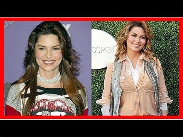 Shania Twain, Renee Zellweger & More Stars Who Got Entirely New Looks