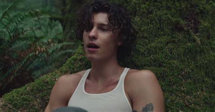 Shawn Mendes Drops ‘Wonder’ Music Video & Song — Watch & Listen – Hollywood Life