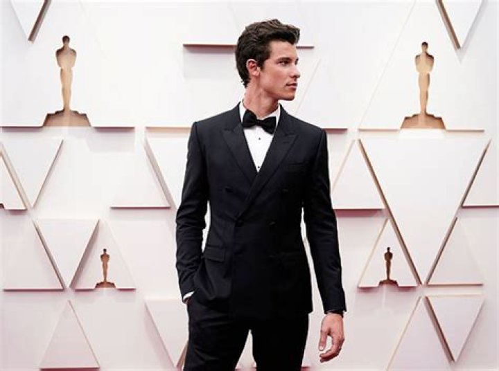 Shawn Mendes Flies Solo At His First Oscars After Camila Cabello Split: See Photos