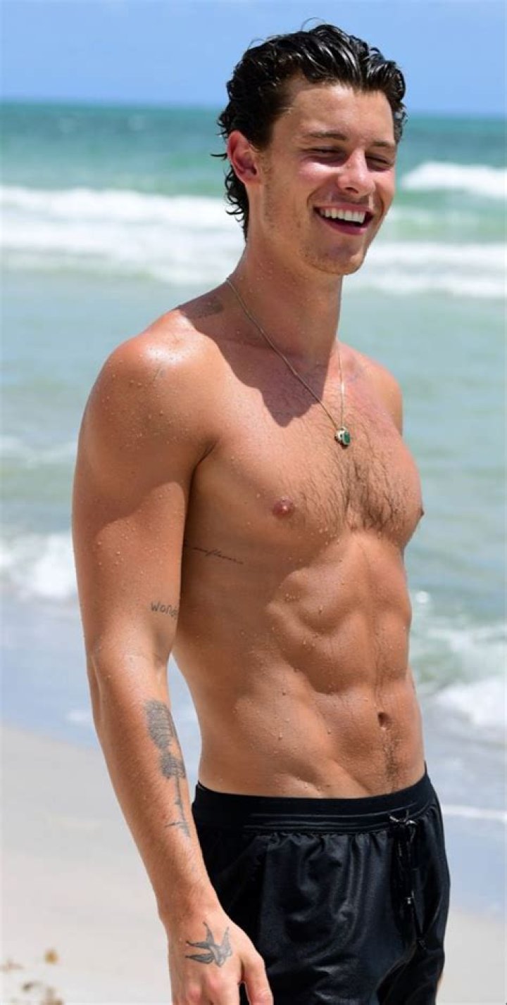 Shawn Mendes Goes Shirtless To Hit The Beach After Camila Cabello Split — Watch