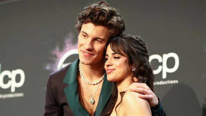 Shawn Mendes Gushes Over How Much He ‘Admires’ Camila Cabello After AMAs Performance