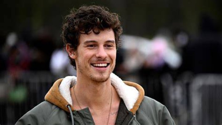 Shawn Mendes: How He Feels About Justin Bieber Supposedly Dissing Him In ‘No Brainer’ Revealed