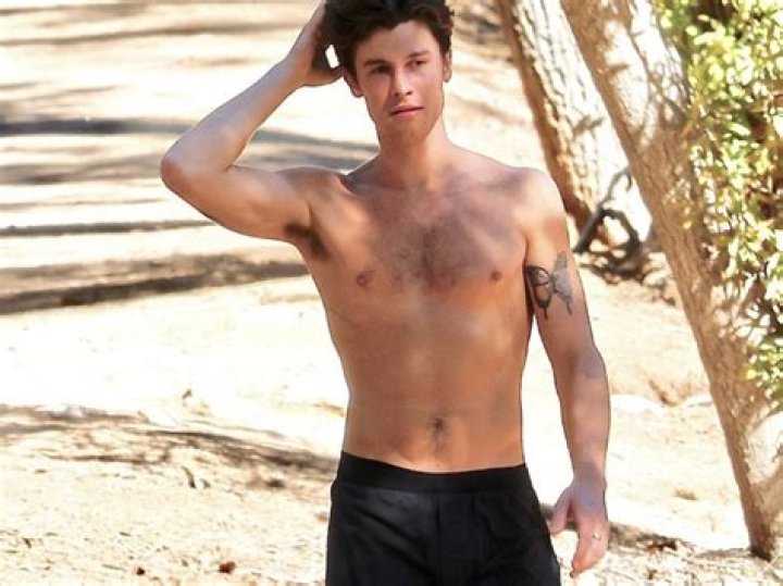 Shawn Mendes Posts Shirtless Pic While Eating Avocado & Celebs React – Hollywood Life