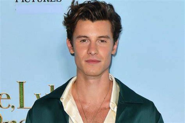 Shawn Mendes Showers At Start Of ‘In Wonder’ Trailer For Netflix Doc – Hollywood Life