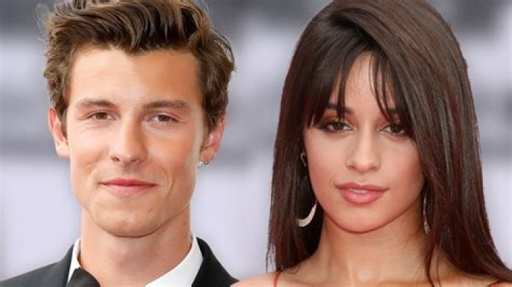 Shawn Mendes Teases A Potential Collaboration With Camila Cabello After Their Split