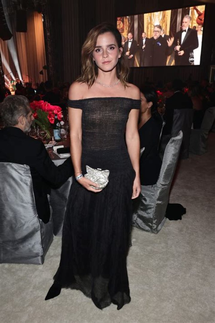 Sheer Black Dress – Hollywood Life