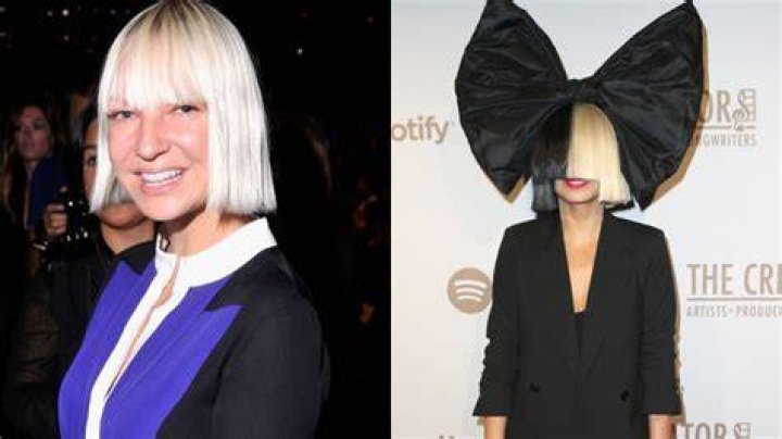 Sia Performance On ‘The Voice’ Finale — Singer Wows With ‘Cheap Thrills’ – Hollywood Life
