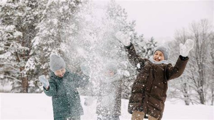 Sofia Richie, Rebel Wilson & More Celebs Playing Outside In The Snow – See Pics
